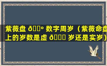 紫薇盘 🌺 数字周岁（紫薇命盘上的岁数是虚 🍁 岁还是实岁）